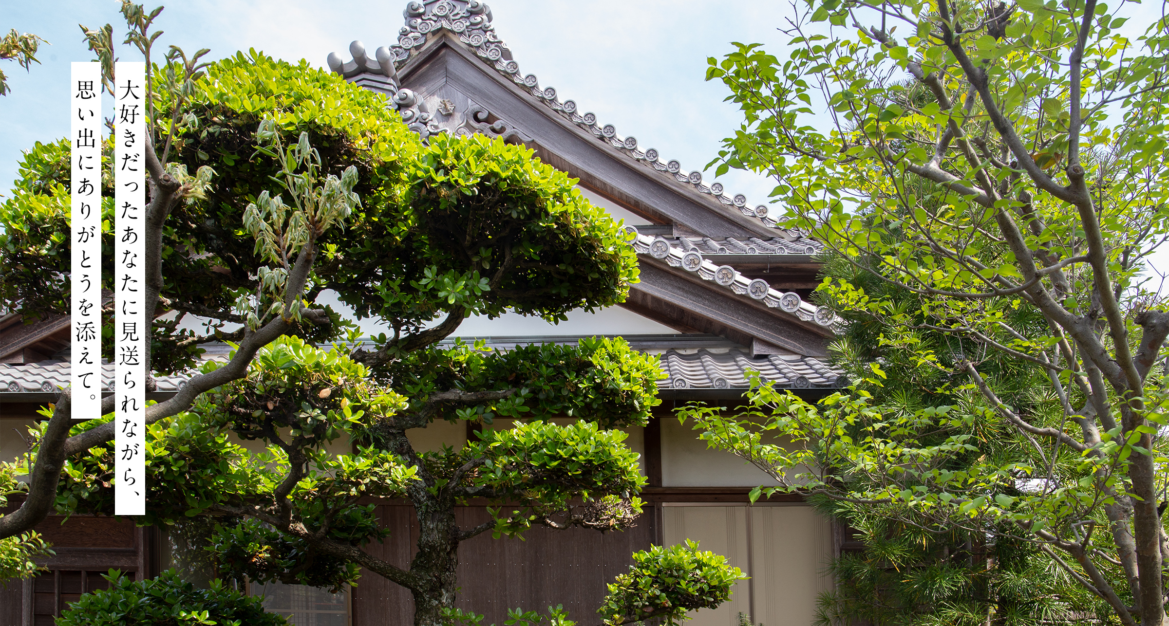 お寺の外観